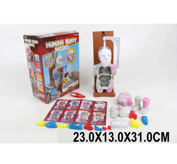 Joc de masa „Corpul uman”