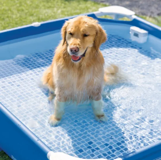 Piscină cu cadru metalic pentru animale de companie Pet Pool 152×152×30 cm, 537 L, filtru 1136 l/h, skimmer și prelată, Intex (48402) Piscină cu cadru metalic pentru animale de companie Pet Pool 152×152×30 cm, 537 L, filtru 1136 l/h, skimmer și prelată, Intex (48402)