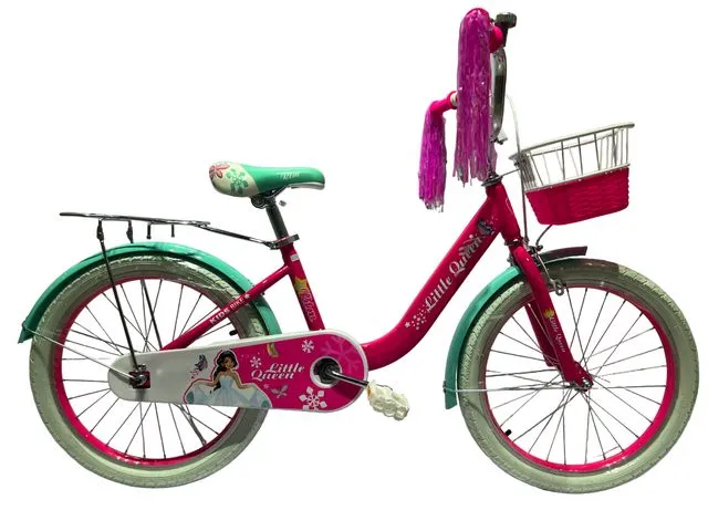 Bicicletă cu 2 roți 16