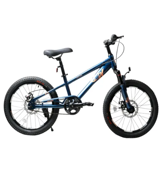 Bicicletă pentru copii cu 2 roți, 20 inch, albastră, cod 2229D