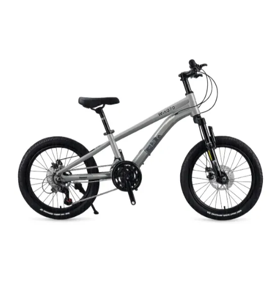 Bicicletă pentru copii cu două roți, 20 inch, gri-negru, cod 2363D