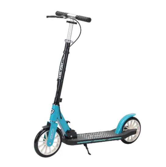 Trotinetă pentru copii cu 2 roți, frână de mână și ghidon reglabil, albastru, RTM Scooter (94833)