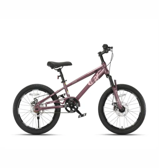 Bicicletă pentru copii cu 2 roți, 18 inch, violet, cod 2222D